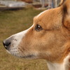 2011