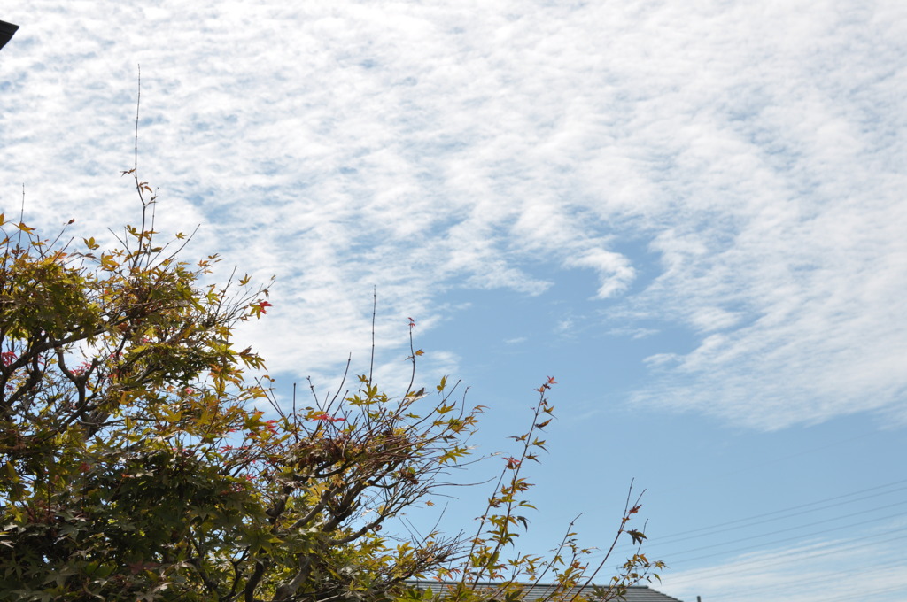 「秋空」