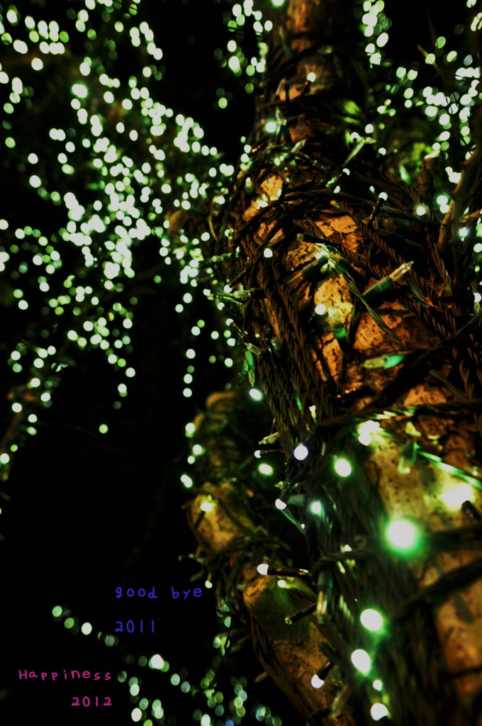Happiness 2012
