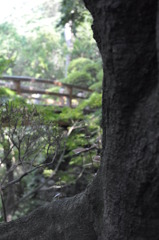 「ひっそり、力強く」