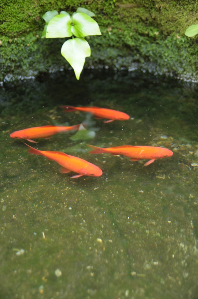 「じっと耐えて」