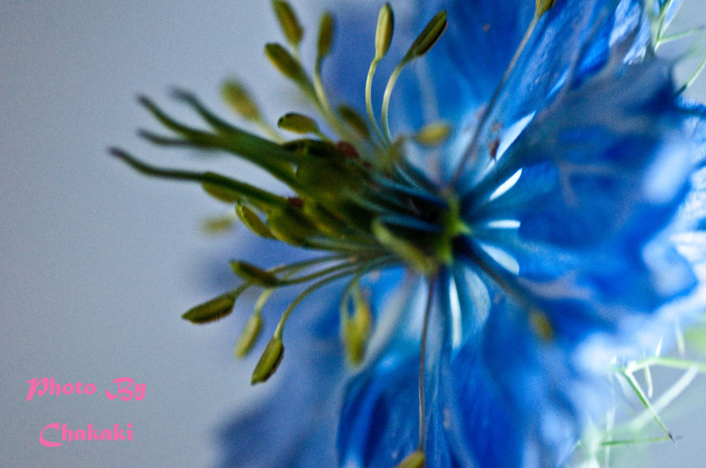 「マクロ練習⑥」