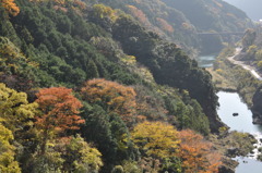 「山模様」
