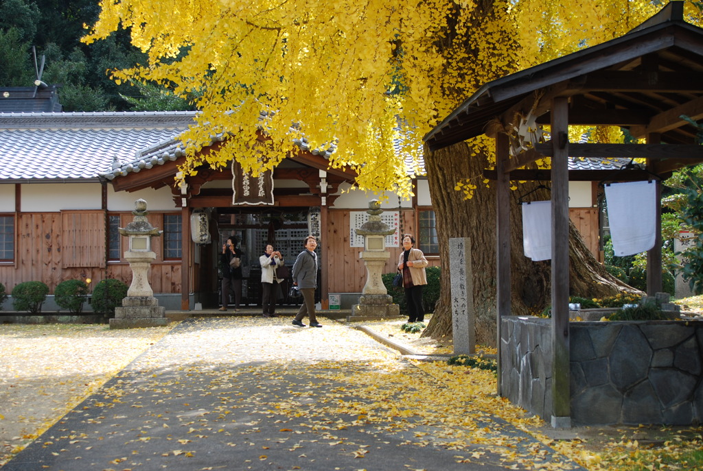 「老婆と大木」