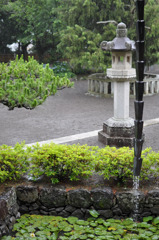 「雨のしとやかさ」