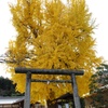 「黄金の樹」