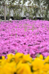 「賑やかな独りぼっち」