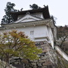 201004181726