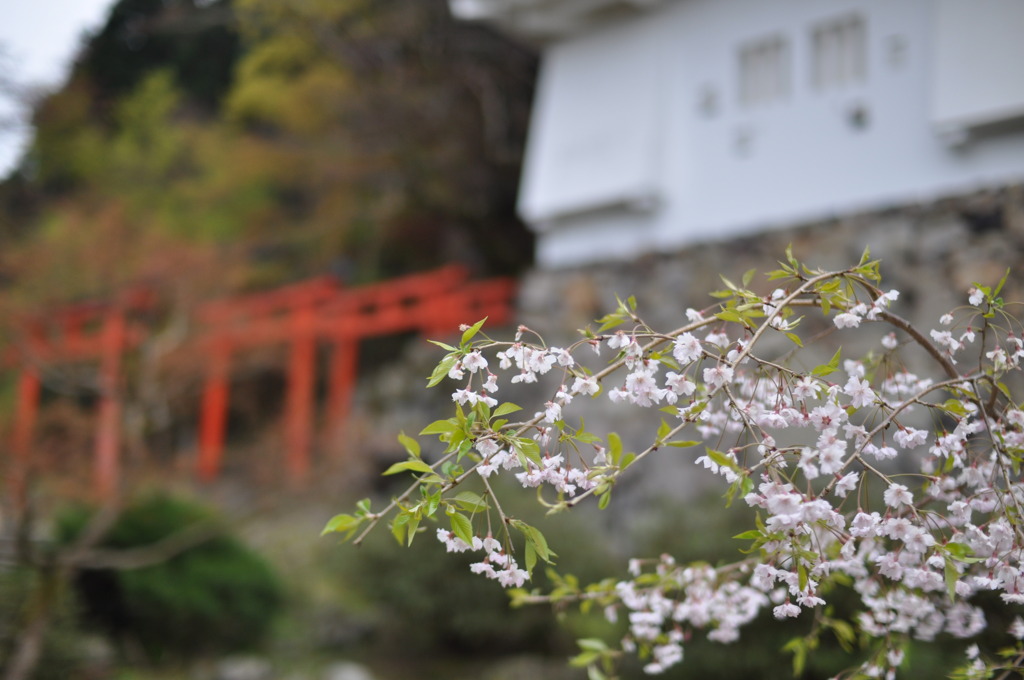 出石城