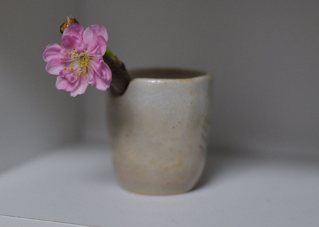 桃の花