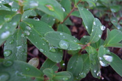 R0010260