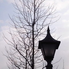 R0010182
