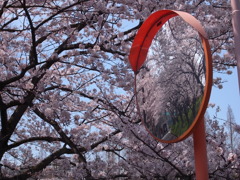 いつもより美しい