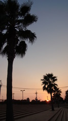 夕刻のグラデ