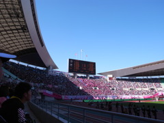 春・観戦♪