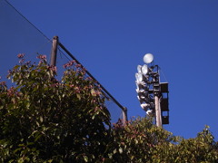 春・晴天！