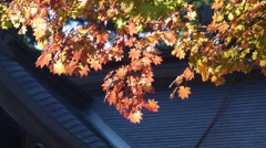 高野山　紅葉５