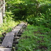 木流川遊歩道2