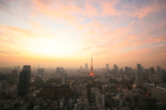 ｔｏｋｙｏ