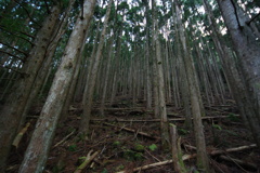 IMGP4824