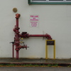 IMGP6383