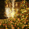 X'mas@marunouchi_02