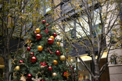 X'mas@marunouchi_01