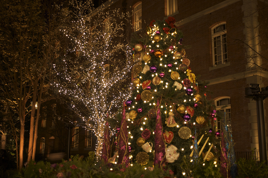 Xmas2012_34