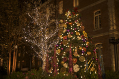 Xmas2012_34