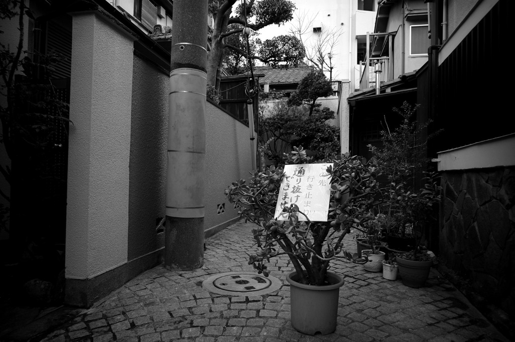 kagurazaka_03
