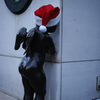 Xmas2013_20