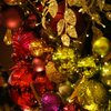 Xmas2013_11