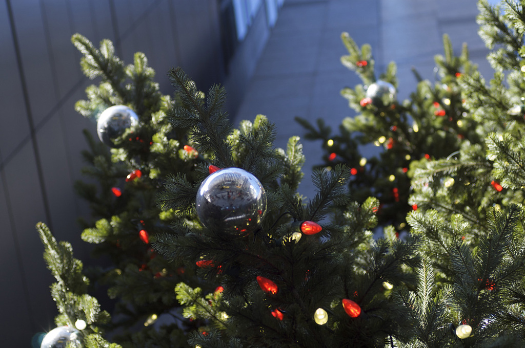 Xmas2012_03