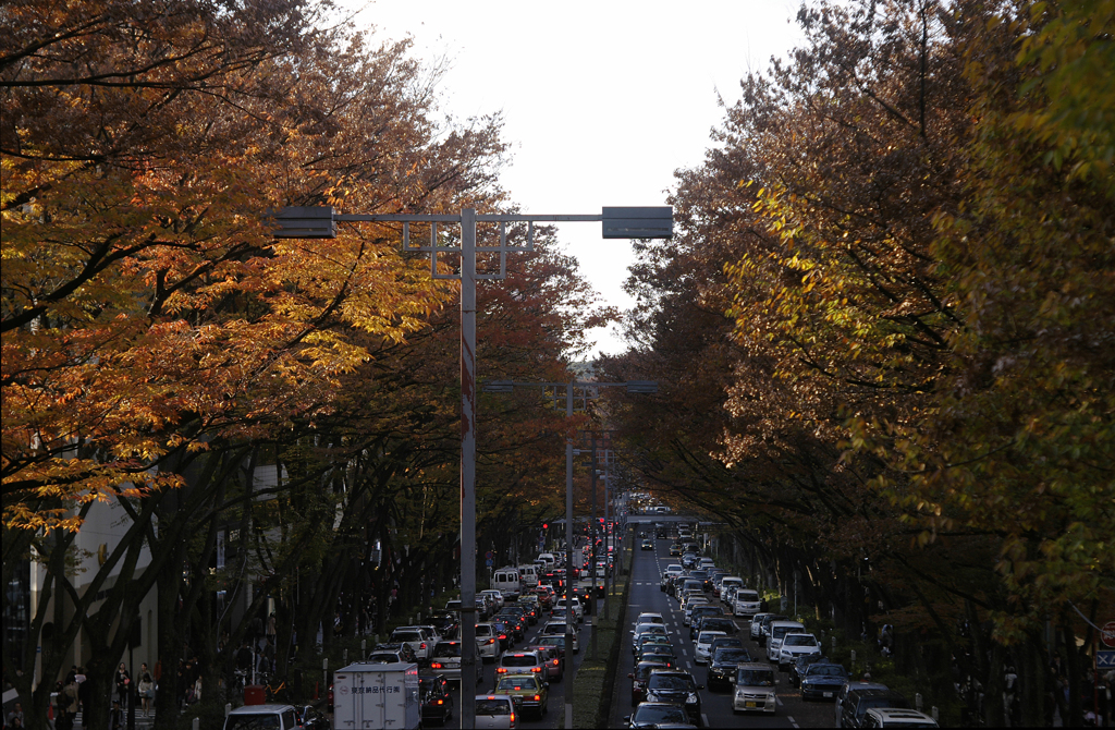 kouyou2014_13