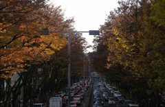 kouyou2014_13