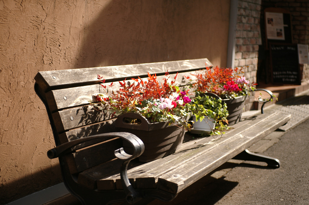 bench