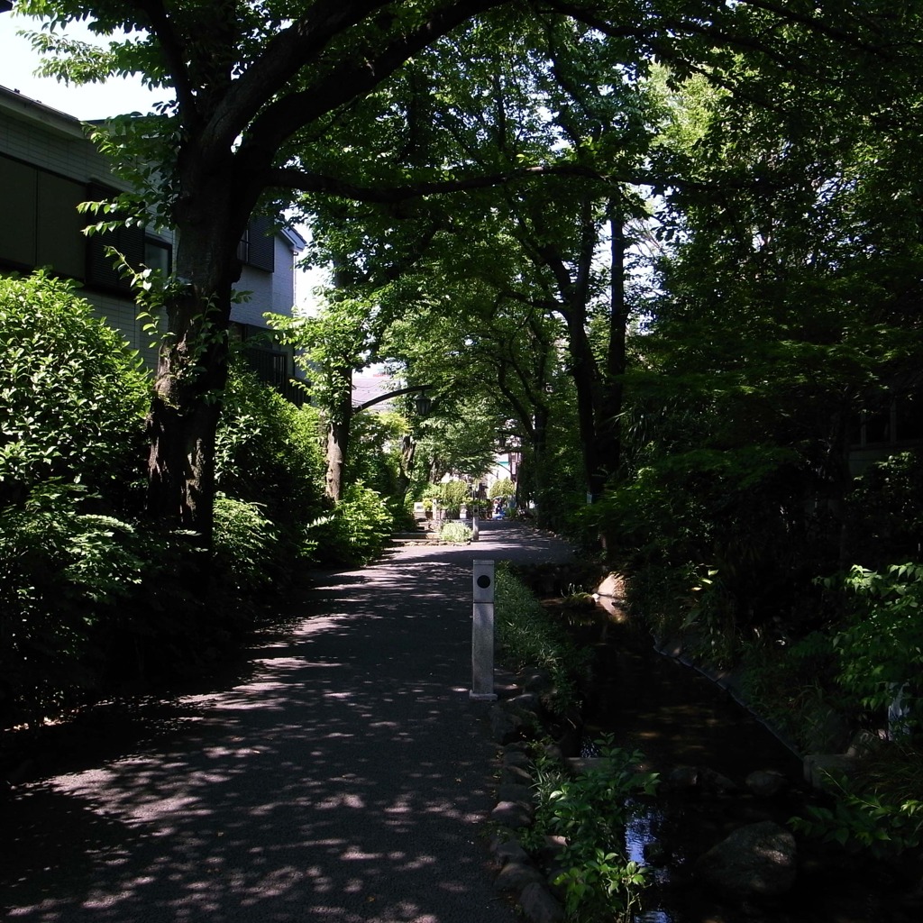 footpath_02