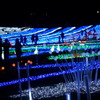 東京ドイツ村ウィンターイルミネーション2009-2010　