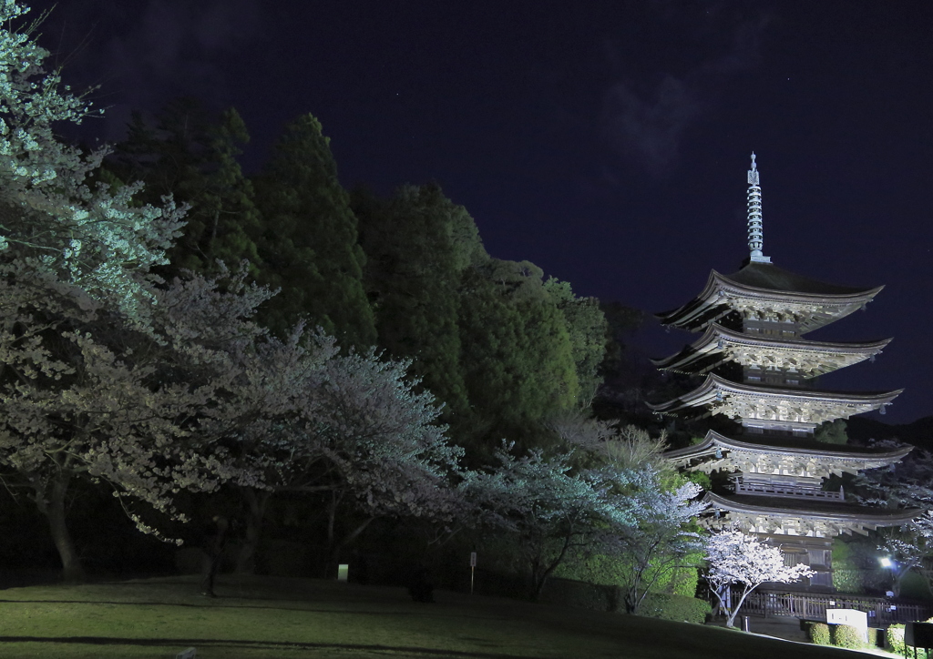 桜と五重塔