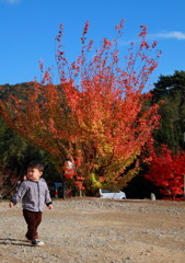 孫と紅葉