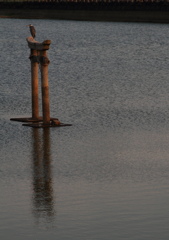 湖の護神