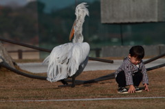 孫とペリカンカッタ君（何代目？）