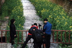 韓国の写真家達