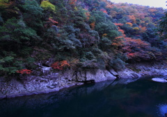 紅葉狩り