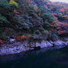 紅葉狩り