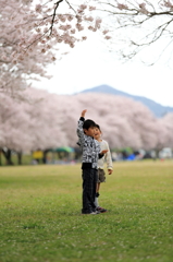 お兄ちゃんの頭に桜