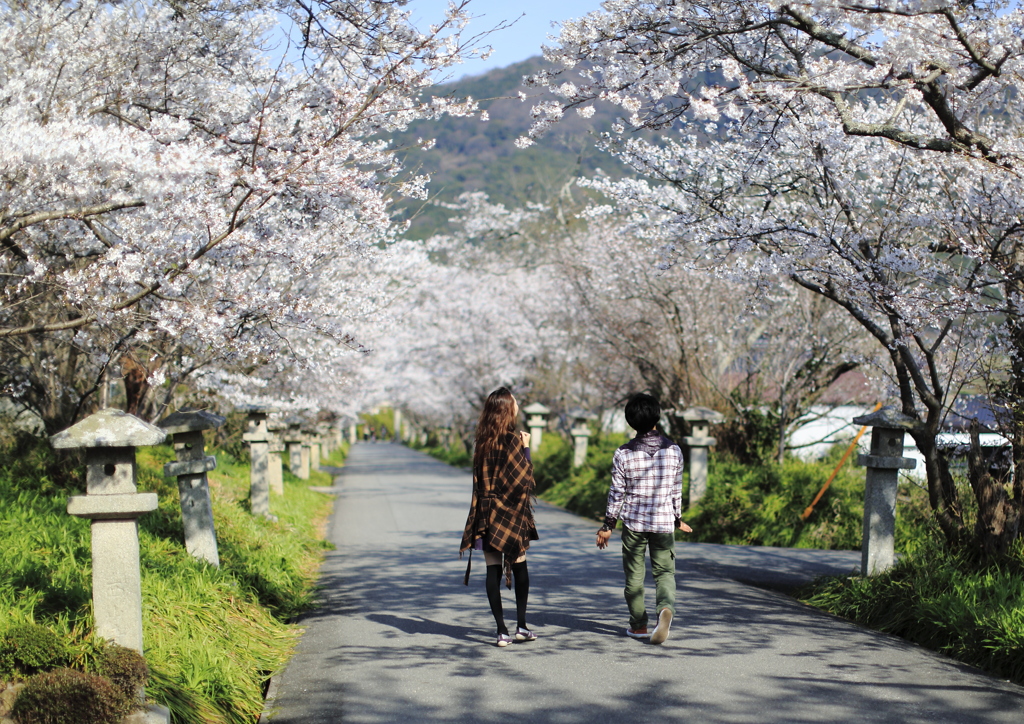 「綺麗ね」^^「そうだね」