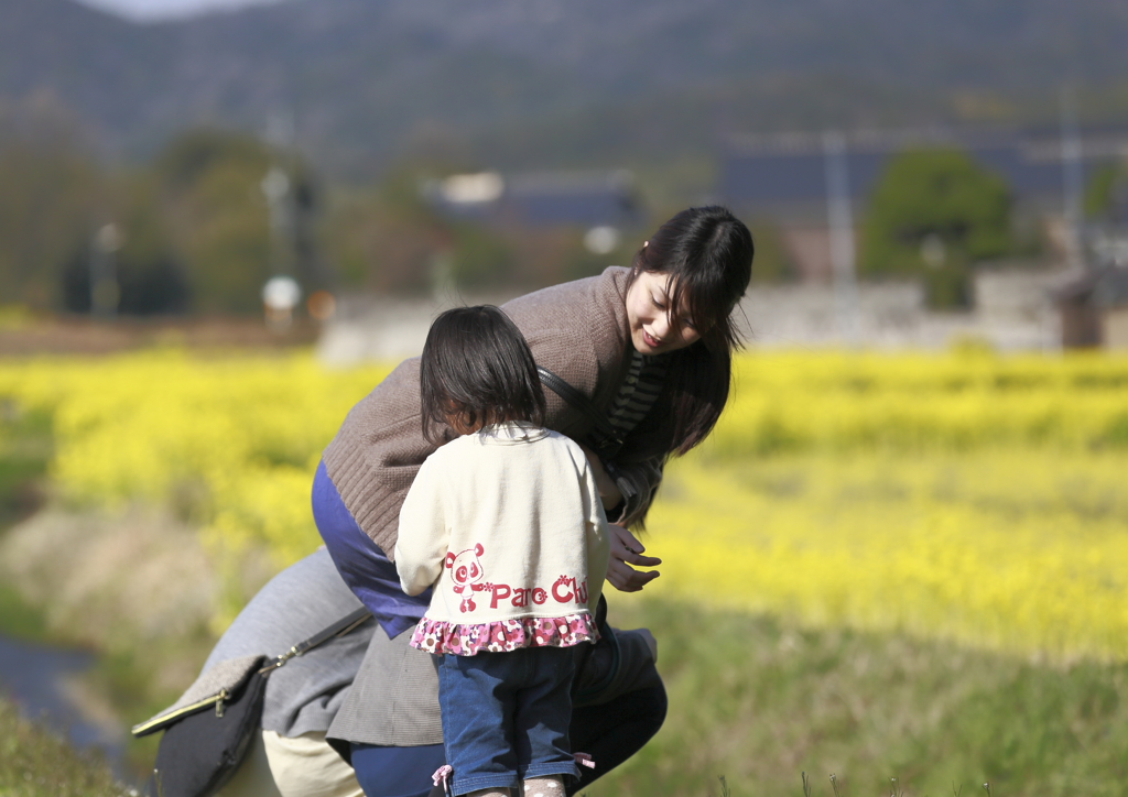 菜の花とつくし摂り