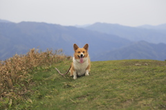 山頂で一休み