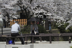 素敵な老夫婦